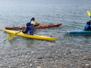 photo_5111803182043565340_y