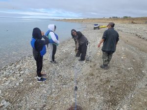 photo_5111803182043565345_y