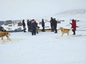 photo_5111803182043565398_y